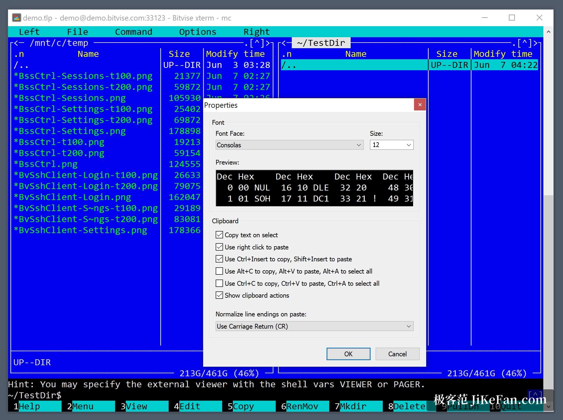 Bitvise SSH Client 的 xterm 终端界面