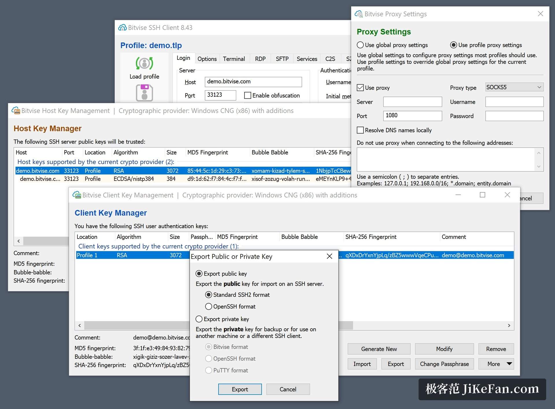 Bitvise SSH Client 的设置与配色主题