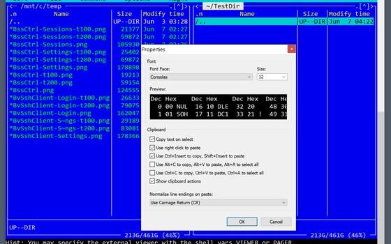 Bitvise SSH Client 9.66：Windows 原生 SSH 与 SFTP 客户端，免费使用