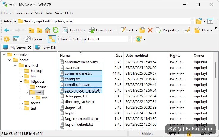 WinSCP 资源管理器风格界面