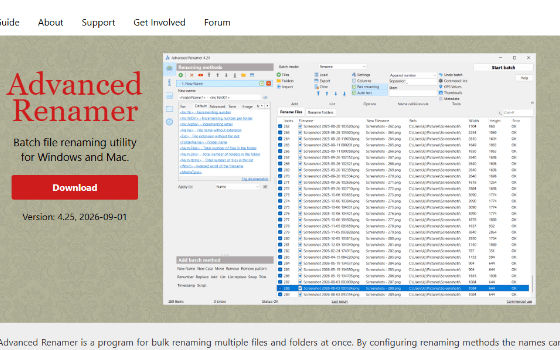 Advanced Renamer 4.25：免费的个人批量重命名工具